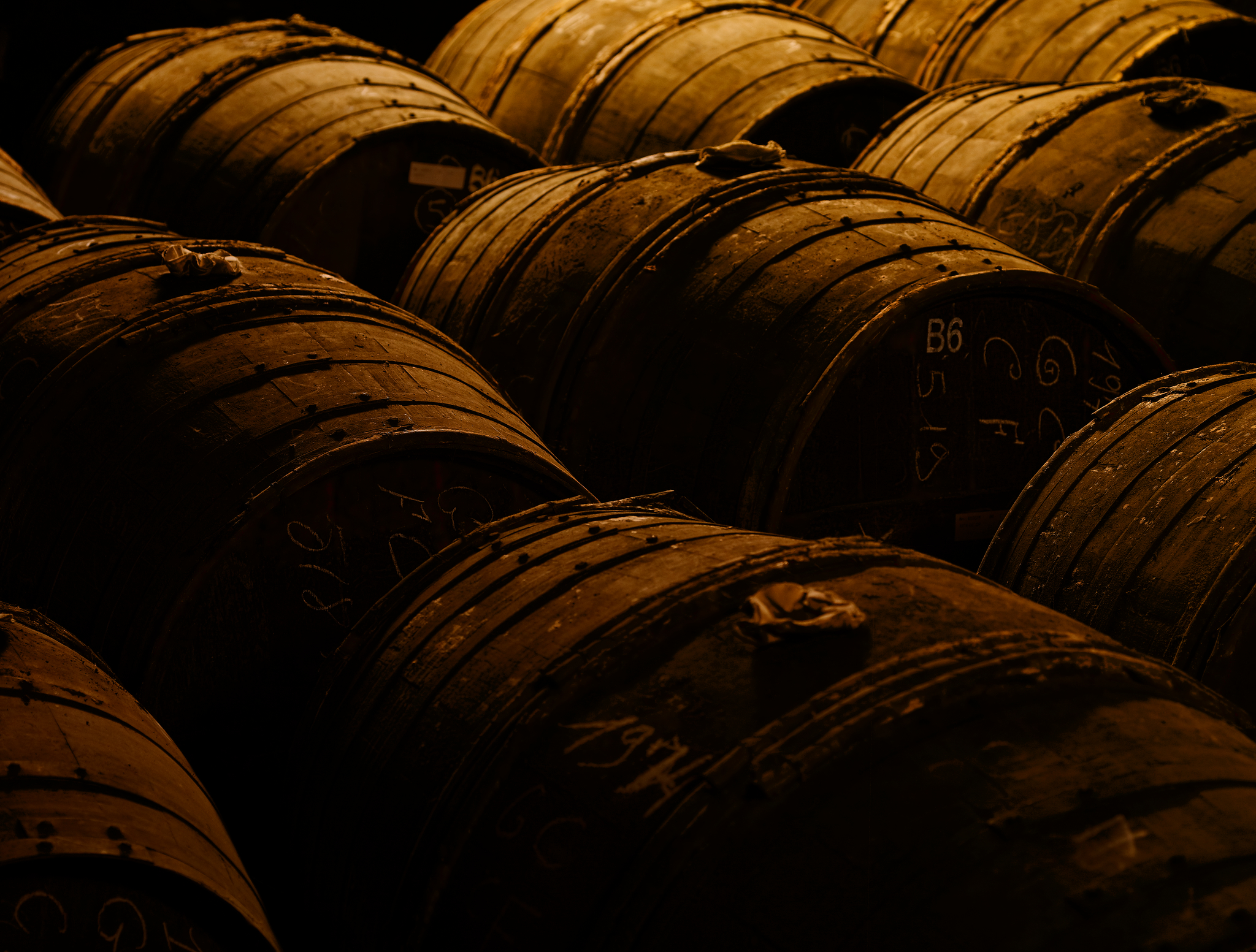 The Art of Aging - visual of barrels