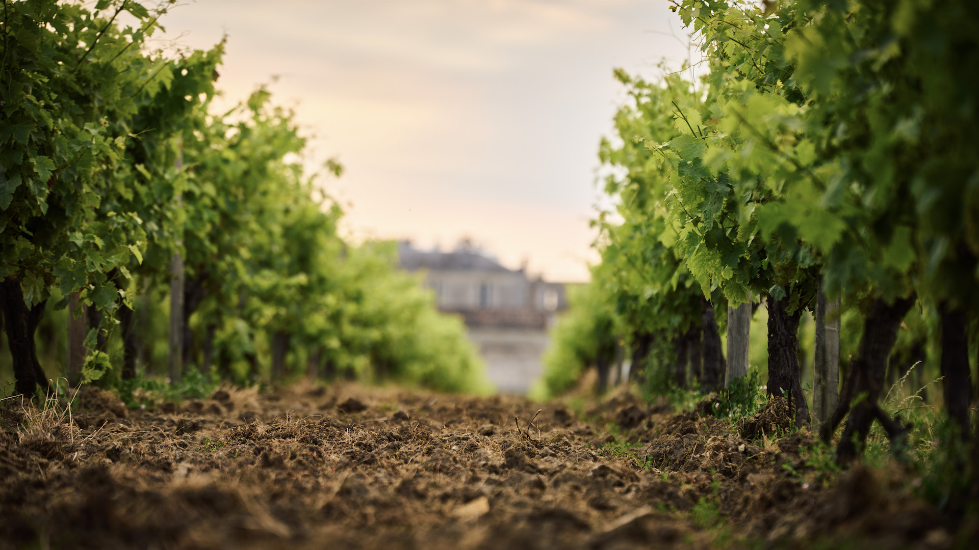 Martell à Gallienne