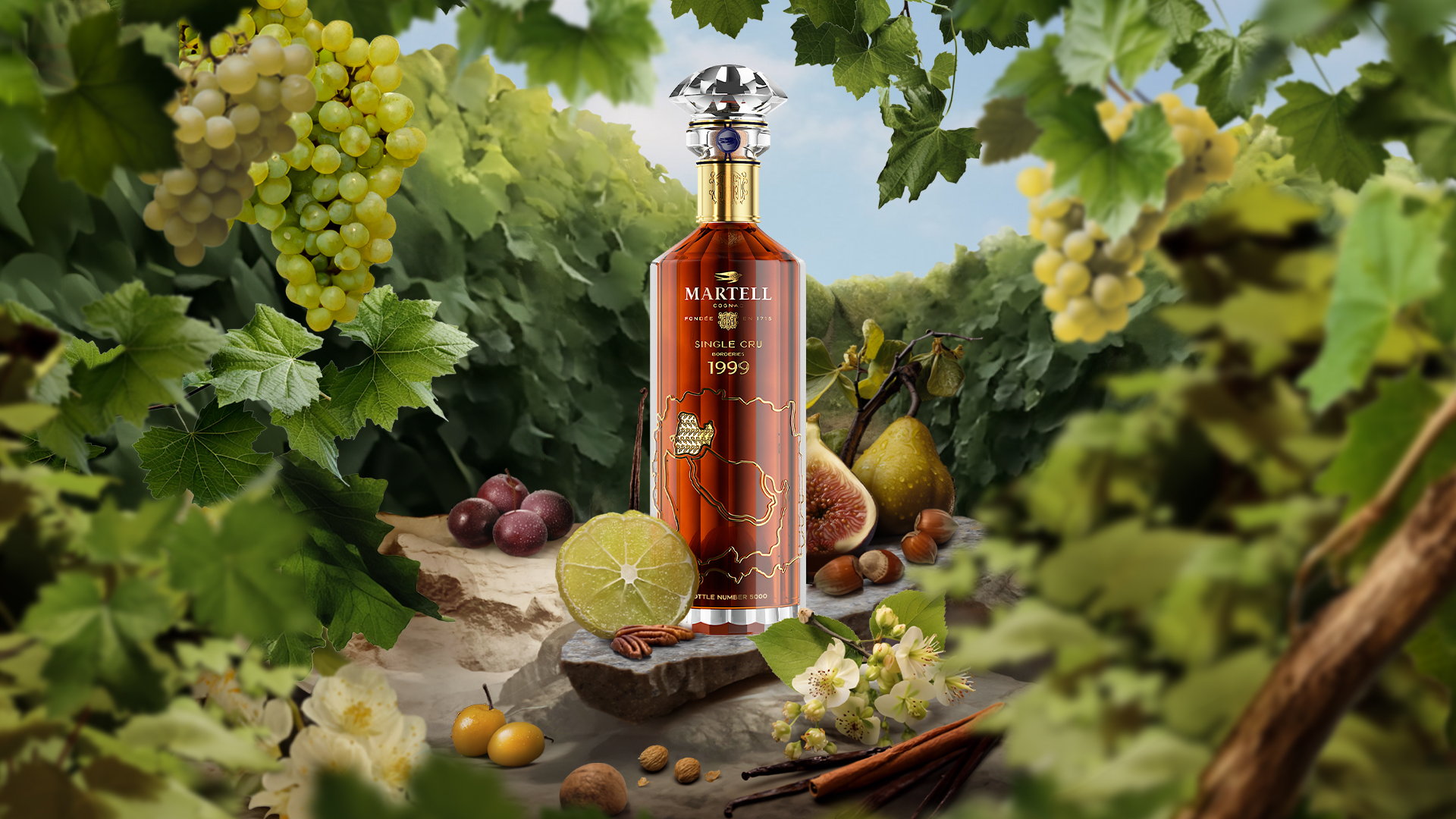 Single cru Borderies 1999 - Key visual