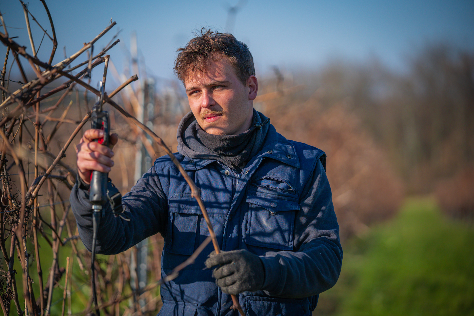 Valuing people visual